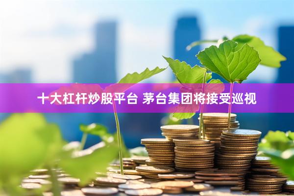 十大杠杆炒股平台 茅台集团将接受巡视
